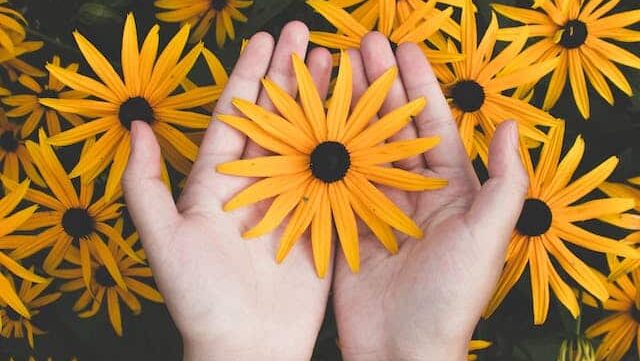macchie dalle mani aromaterapia